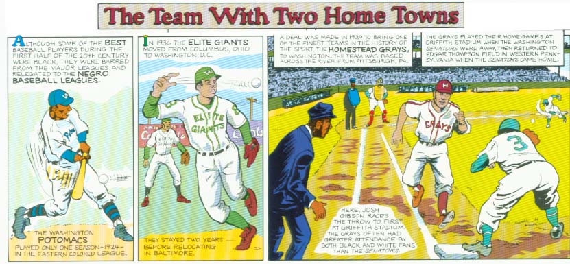 A Look Back - Washington DC Grays