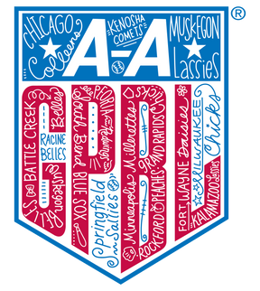 AAGPBL 1943 - 1954 - Triblend Unisex T-Shirt